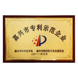 嘉興市專利示范企業(yè)
